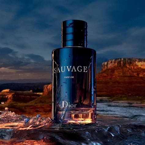 dior sauvage edp 60 ml|sauvage 60ml best price.